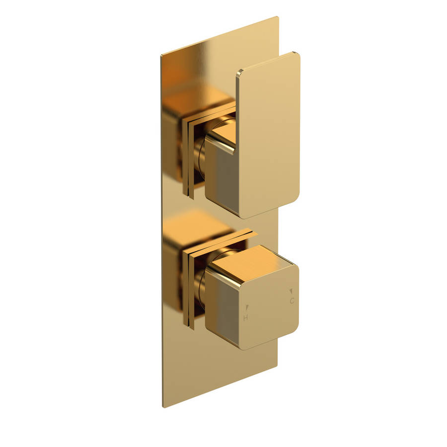 Nuie Windon Brushed Brass Thermostatic Twin Valve 