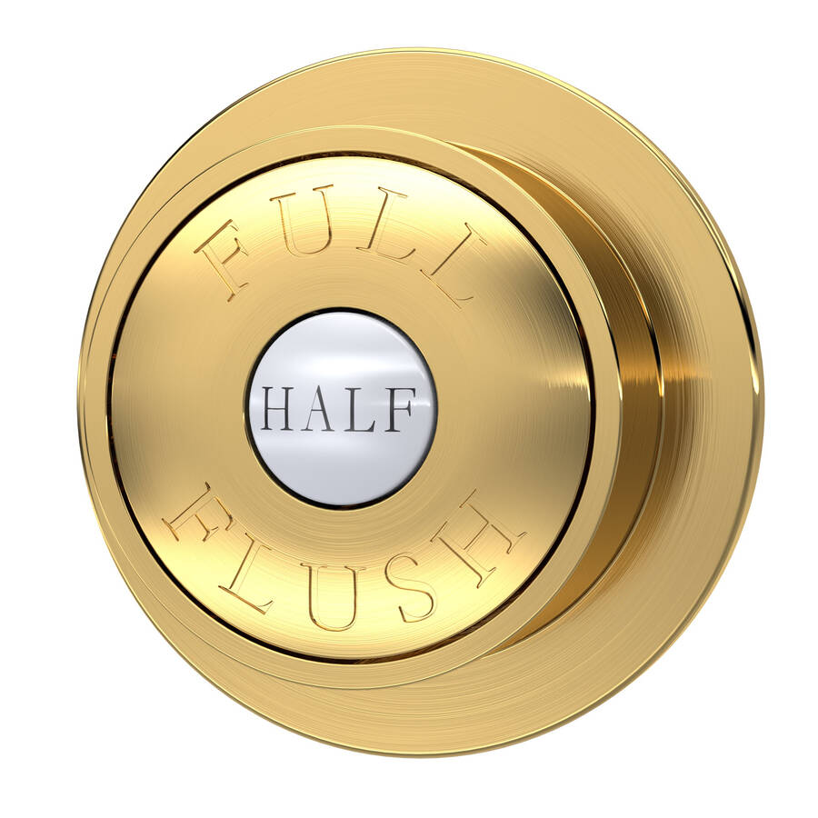 Nuie Brushed Brass Traditional Dual Flush Push Plate