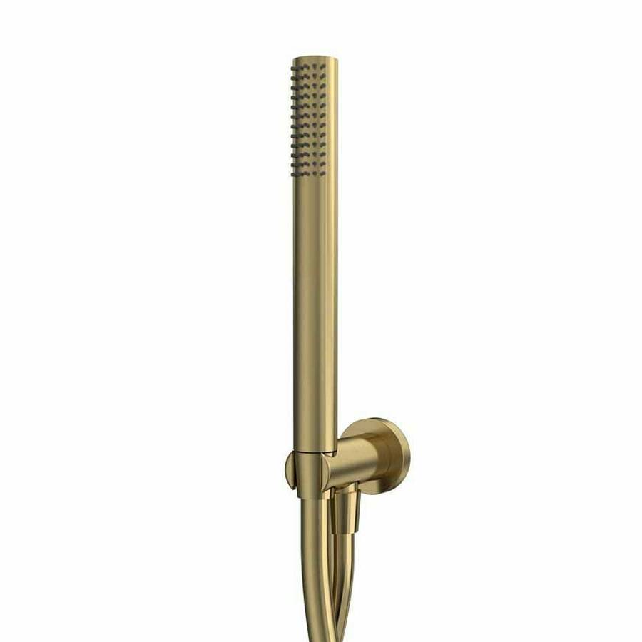 Tavistock Brushed Brass Round Wall Mounted Shower Handset Kit