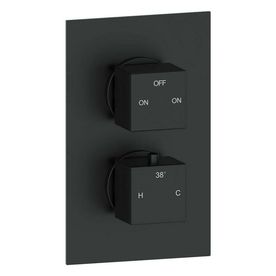 Ajax Brigsley Matt Black Square Thermostatic Two Outlet Twin Shower Valve