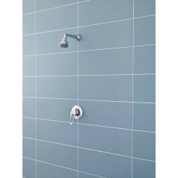 Nuie Round Chrome Manual Concealed or Exposed Shower Valve