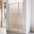 Roman Haven 900mm Pivot Shower Door