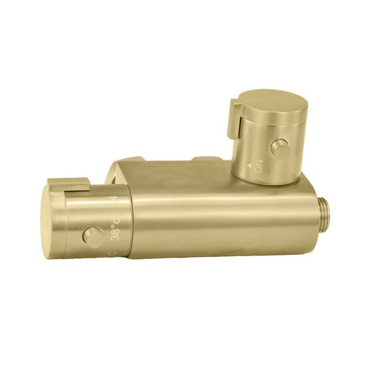 Scudo Brushed Brass Thermostatic Douche Vertical Valve