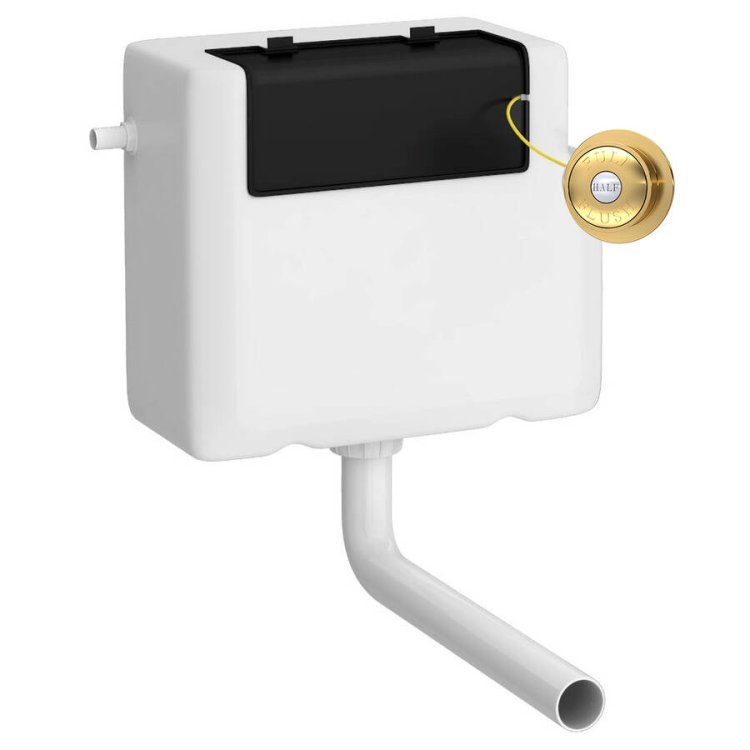 Nuie Concealed Side Inlet Dual Flush Cistern with Brass Traditional Flush Button